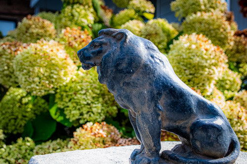 Sleepy Hollow, NY - Oct 2025